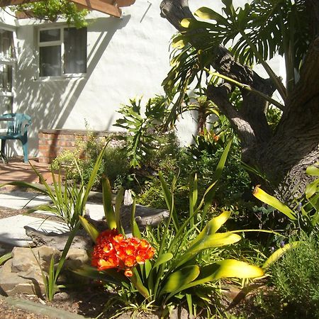 Be My Guest Lodge Bloubergstrand Bilik gambar