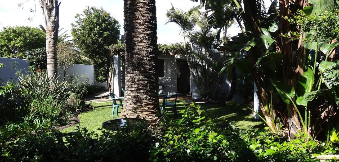 Be My Guest Lodge Bloubergstrand Luaran gambar